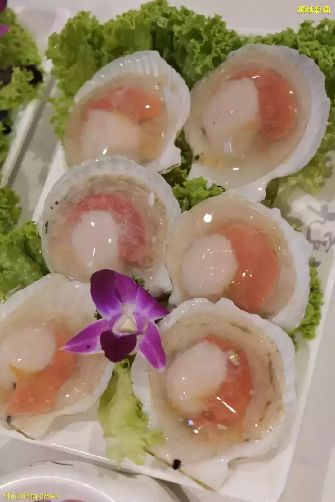 新加坡這家九宮格火鍋太贊了！不限量自助、免費湯底、送飲料