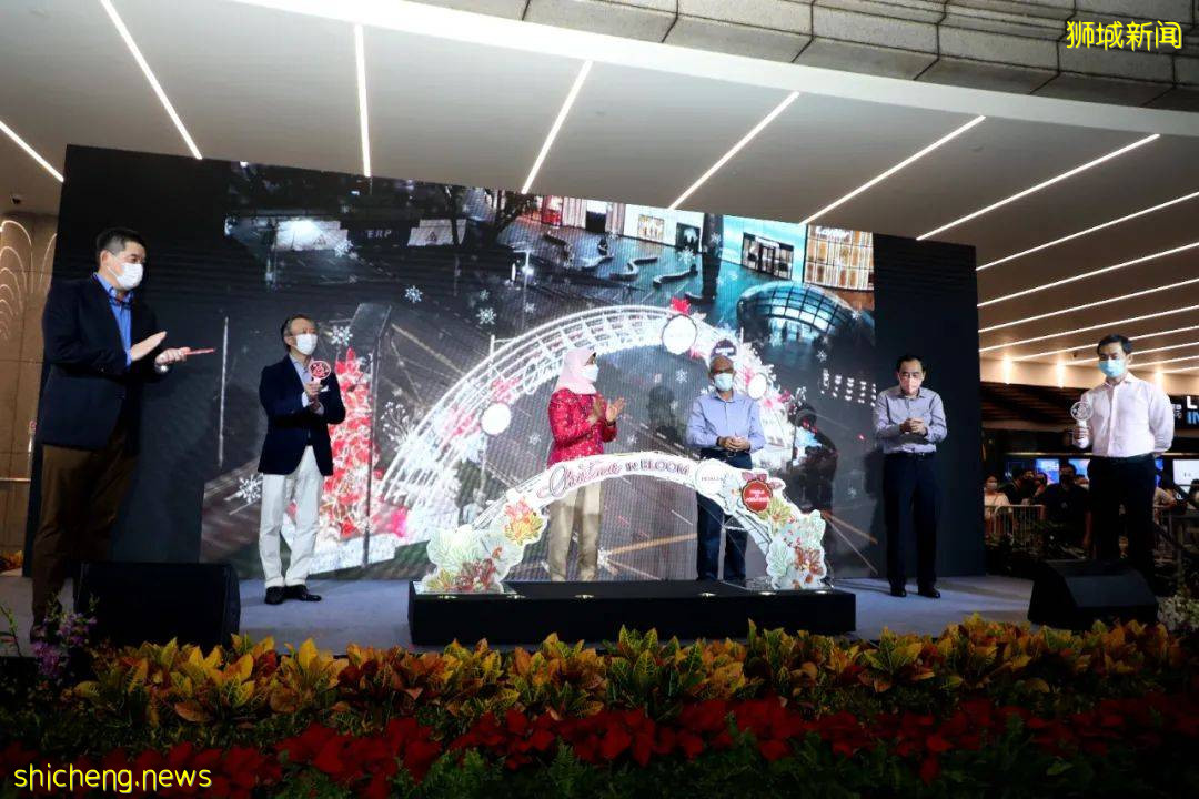 “花開聖誕”亮燈，新加坡烏節路顔值飙升