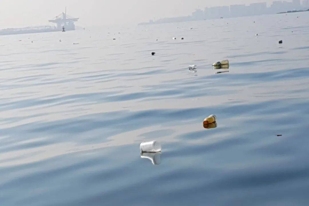 新加坡一天全島沒有清潔工，竟變成了這幅鬼樣子