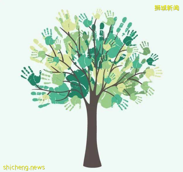 小坡岛的“大”教育