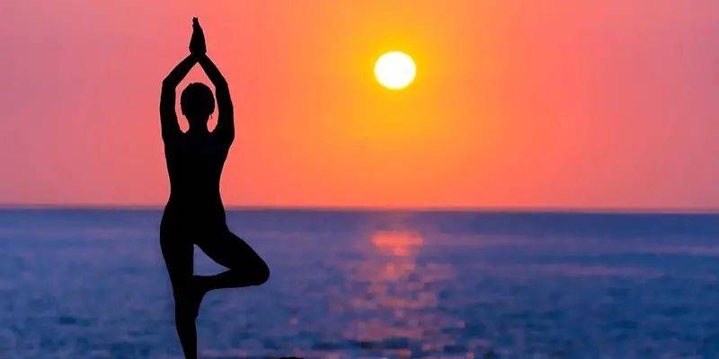 新加坡河川動物園有豪華帳篷過夜啦!本周最新活動彙總