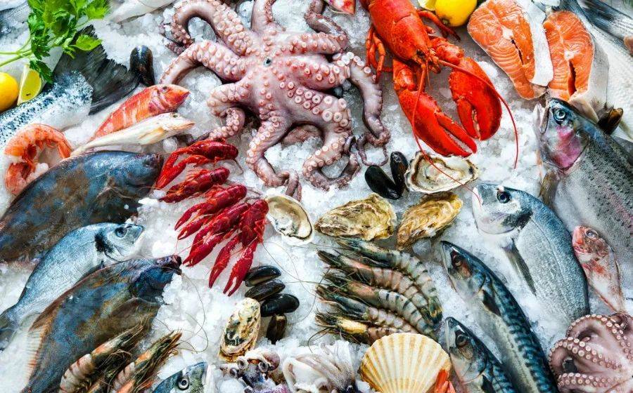 日本今天正式决定排核废水入海!将大规模导致海鲜变异、人癌变!新加坡和中国网友怒了