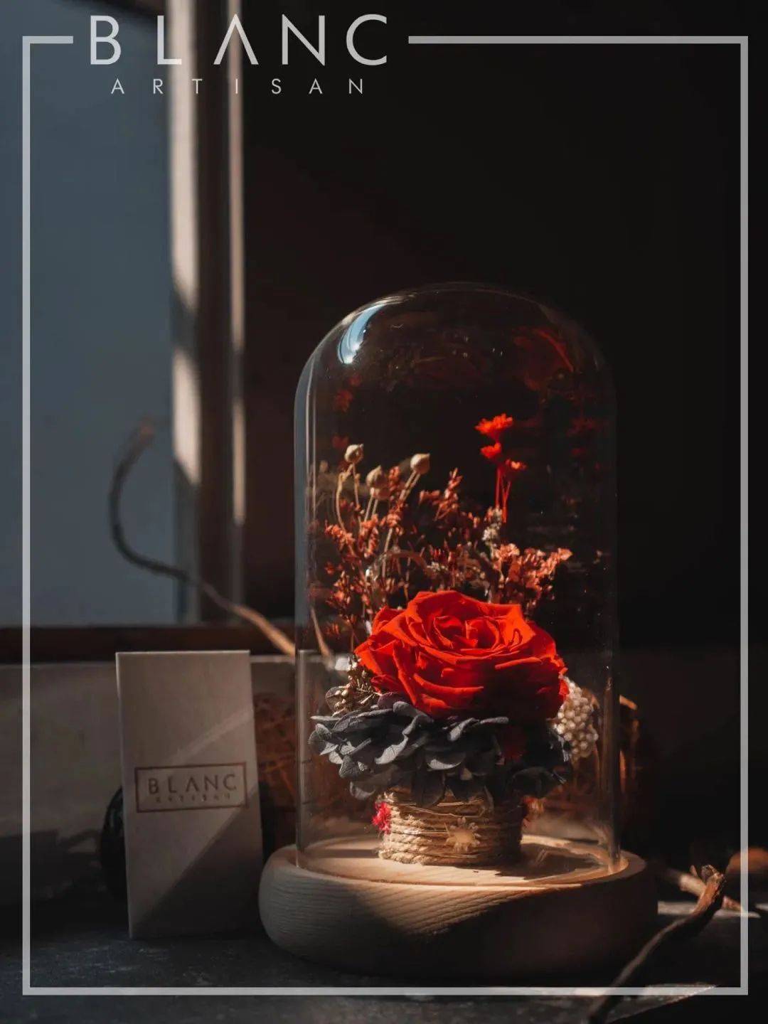 新加坡哪裏買花最劃算，最有創意？想表白，看這裏