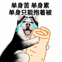 新加坡的“組屋奇迹”到底是啥？能複制到中國嗎