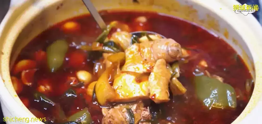 【食尚獅城】隱藏在食閣裏的平民美食“奇味雞煲”，人氣爆棚吃了一次就欲罷不能