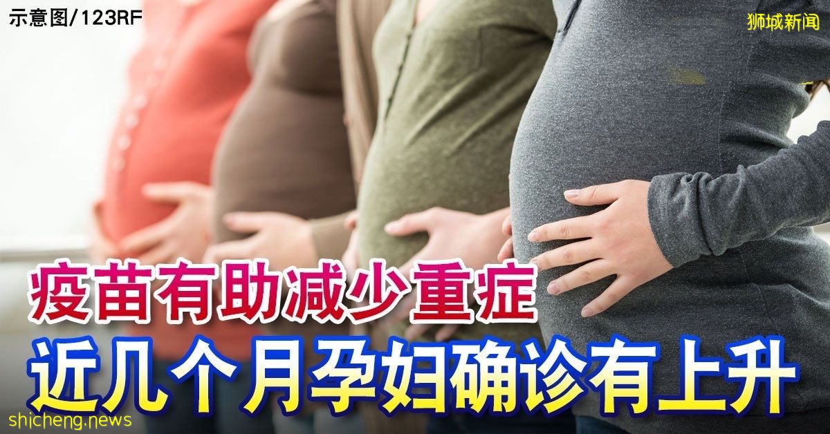 ◤新国CCB◢ 疫苗有助减少重症 近几个月孕妇确诊有上升