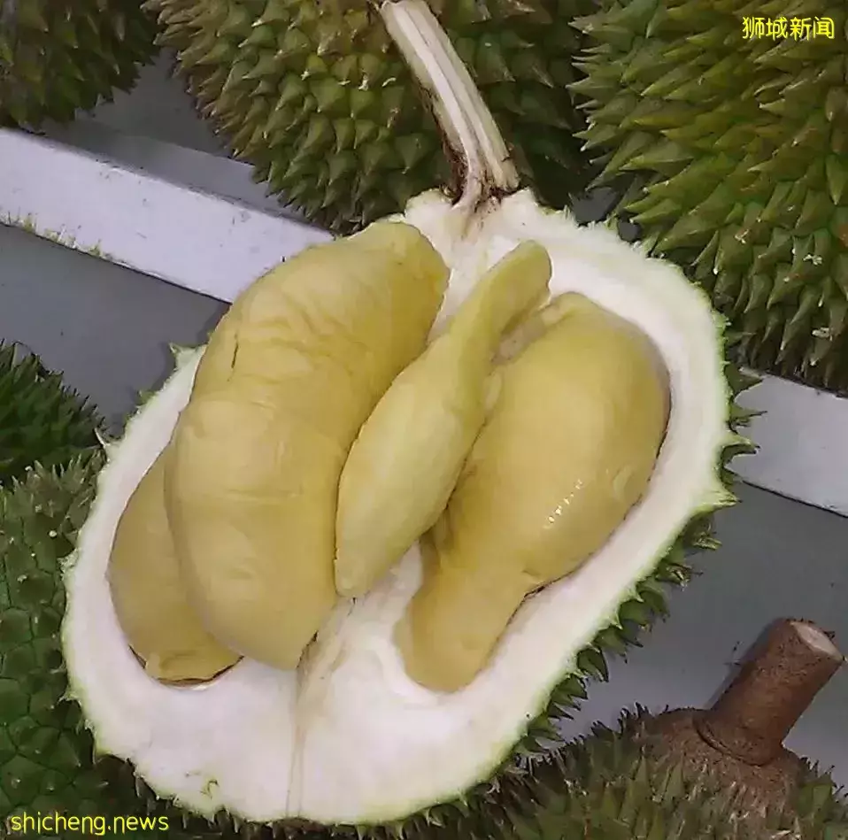 新加坡榴梿季来了啊啊啊!本地人吃榴梿秘籍,这7家最便宜