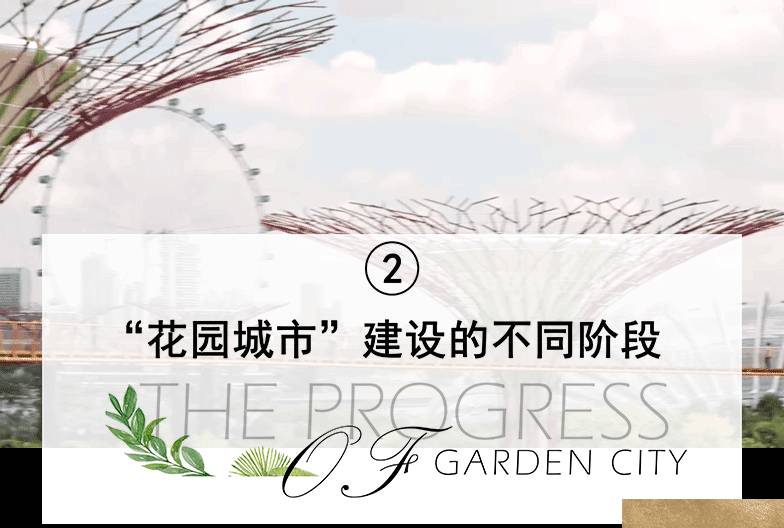 將自然引入城市:新加坡“花園城市”背後的故事