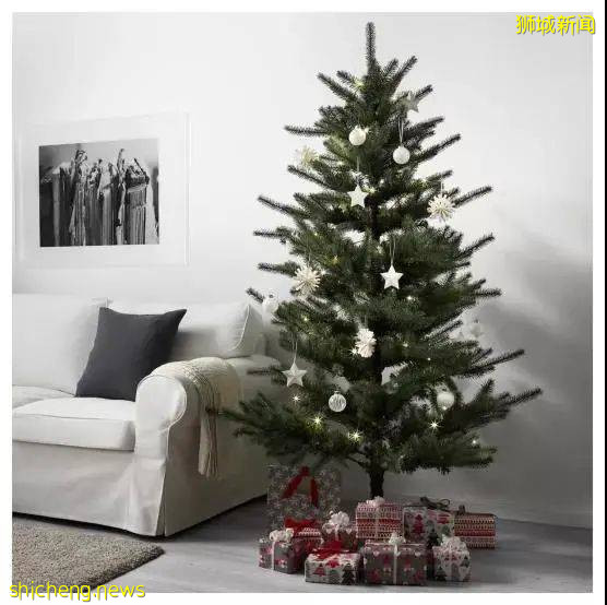 【周末去哪】小CK5折、玩具手辦&時空體驗館買1送1、兔子咖啡館、新餐廳