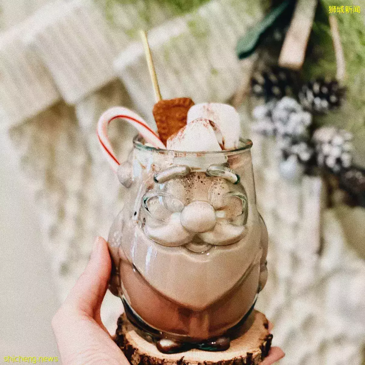 探店 法式质感系咖啡厅！在地感受浪漫情怀