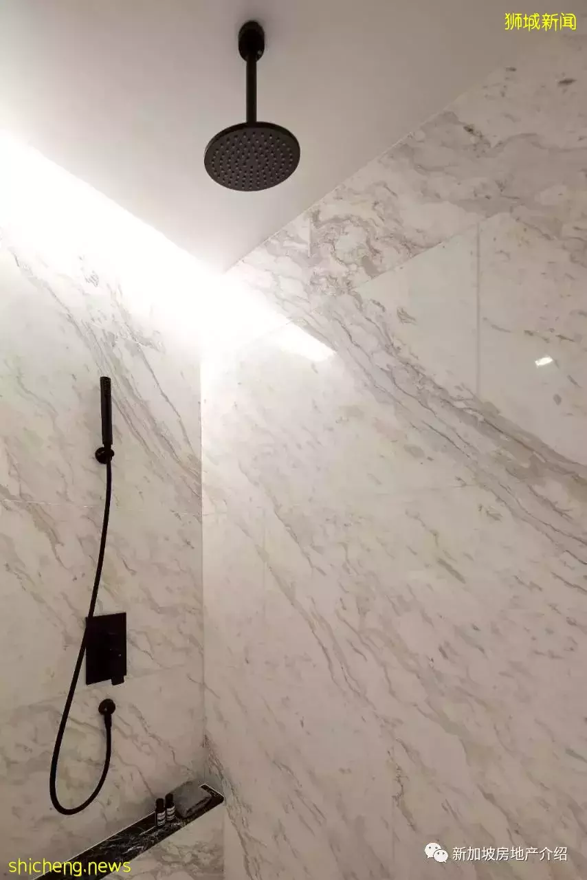 The Landmark 鼎瑞苑(D03)，歐南園地鐵站附近的公寓期房，學區房