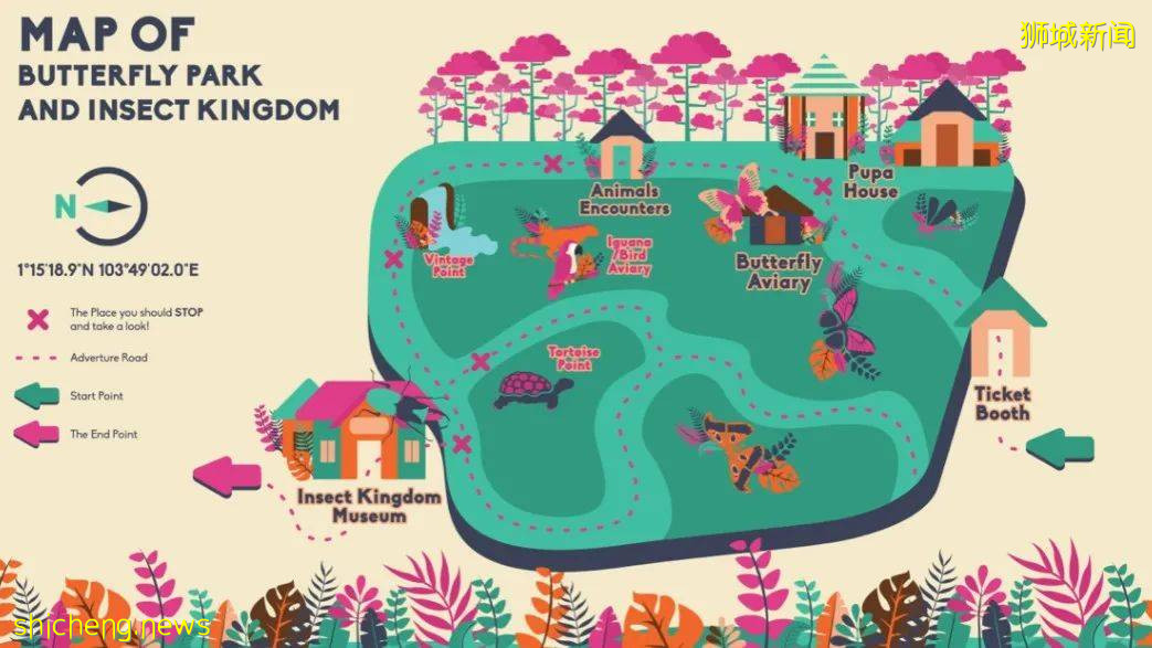 新加坡圣淘沙第一个私营景点!蝴蝶公园与昆虫王国,将于星期二起关门结业