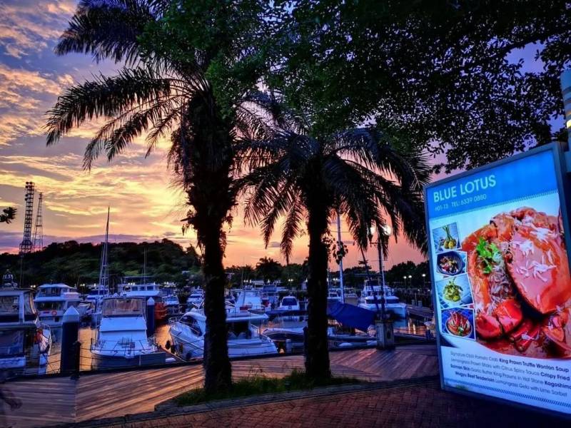 不出国也像度假，坡坡有哪些值得打卡的“海景”餐厅