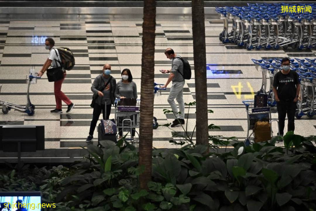 前天输入13例，昨天又250游客抵新！VTL游客确诊后费用谁给