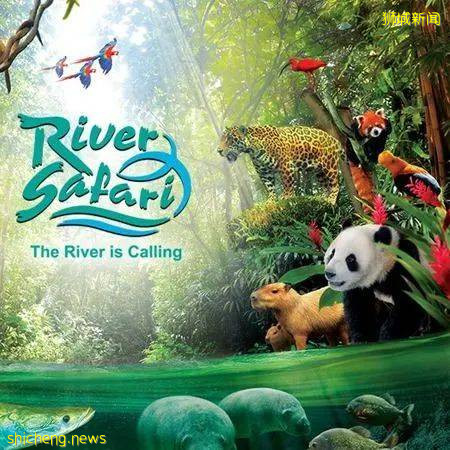 學校假期來了~李顯龍總理親自爲新加坡旅遊打Call，號召國人重新探索新加坡