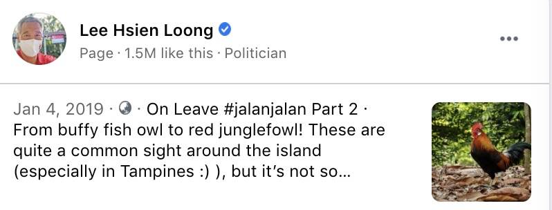 热议!李显龙开始休假!网友:龙哥会去哪里