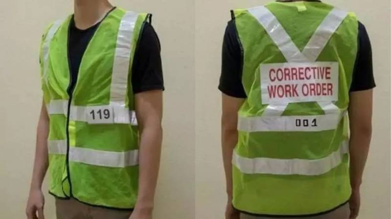 實拍!新加坡這個網紅套上小馬甲,淪落路邊掃垃圾