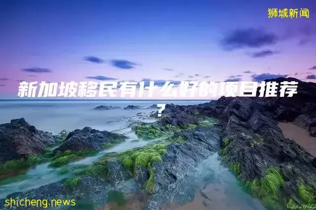 新加坡移民有什么好的项目推荐