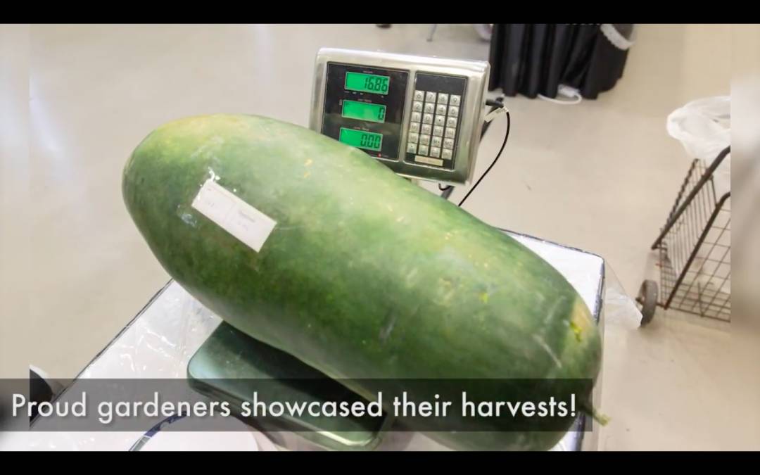 听说你周末又不知道去哪里玩了