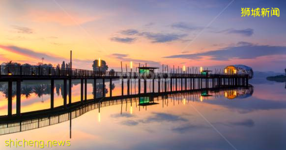 2021版新加坡隐秘小众骑行路线攻略!骑上自行车来探索这座熟悉的城市吧