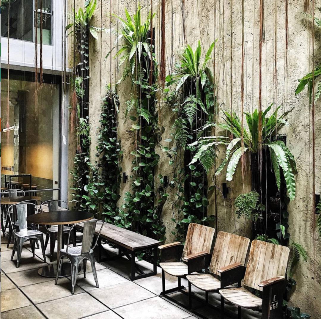 陰天的獅城，喚醒我的不是鬧鍾，而是"Egg Benedict"