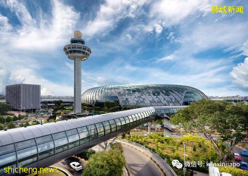 往返新加坡一成都一北京全记录!“回国不足6周,时间特别不够用”