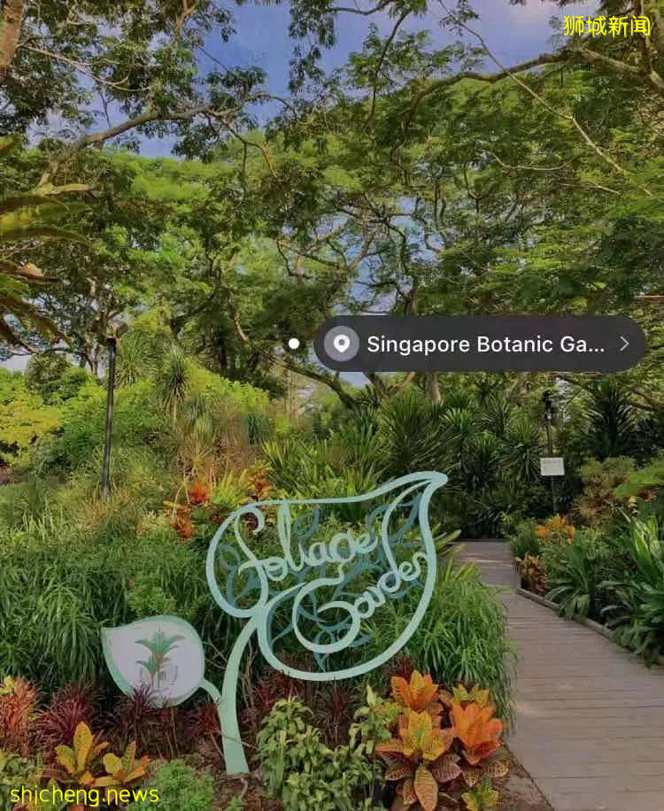 玩在獅城 盤點全島這15個免費景點，讓你玩的省錢又開心