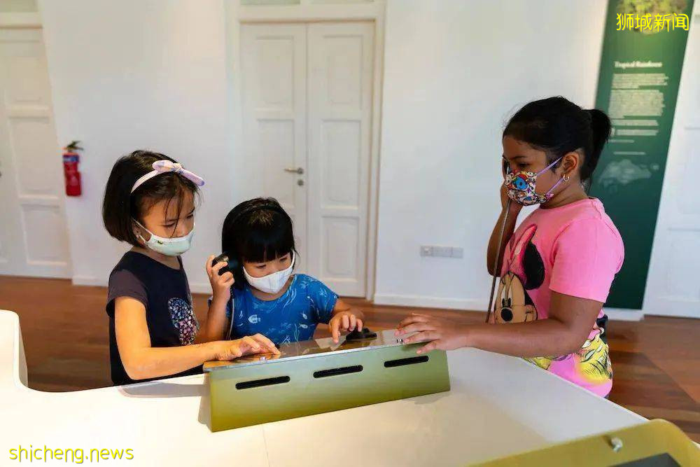 叢林遊樂場、自然博物館、山路徒步……新加坡這個公園翻新後更好玩啦