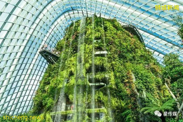 多味缤紛新加坡，旅遊攻略收藏貼