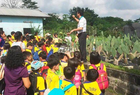 種水稻，摘蘑菇，新鮮蘆荟飲品！藏在新加坡的7大蔬菜農場我找到啦