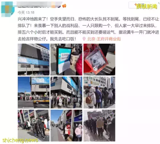 冰墩墩被炒到1000新币?!新加坡最帅议员也“带货”