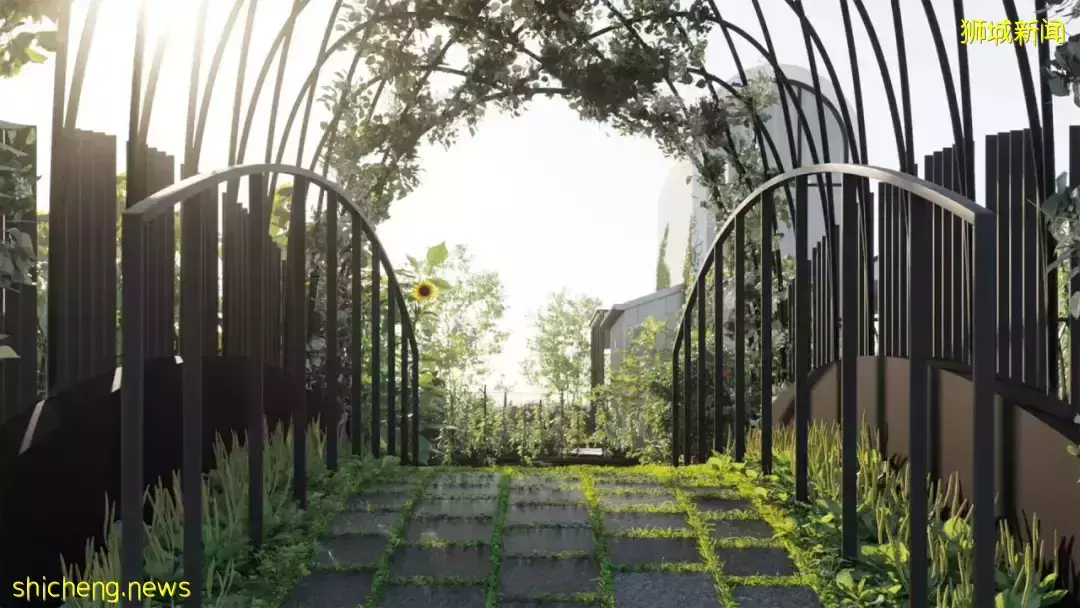 新加坡又出全景观公寓,示范了真正的花园式小区