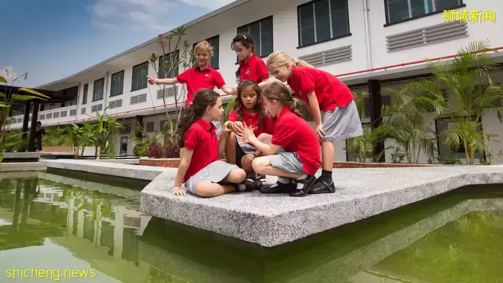 史上最強攻略!在新加坡如何選學校?國際學校vs政府學校,哪個好