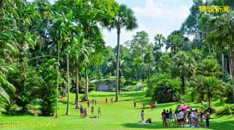 新加坡是怎样一步步成为“花园城市”的!