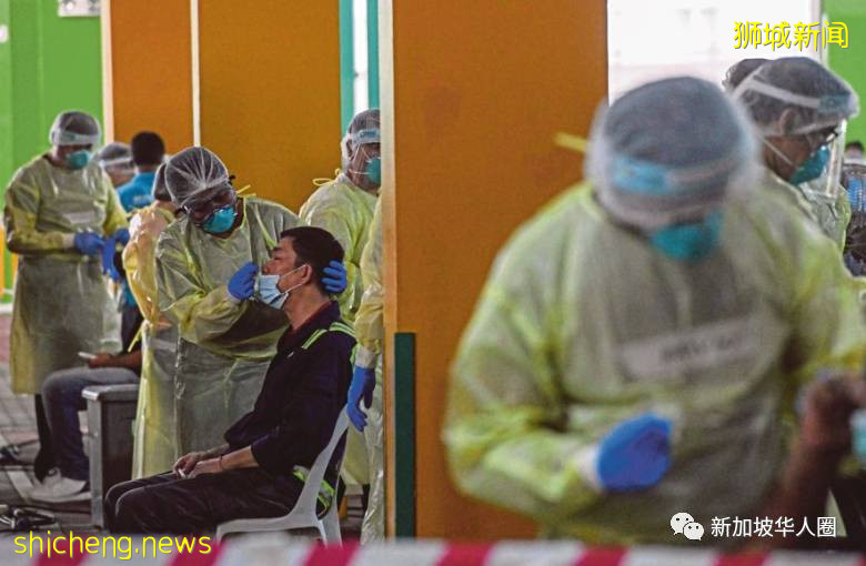 新增247例!新加坡病例持續下降!病毒傳播快要結束或已停止!