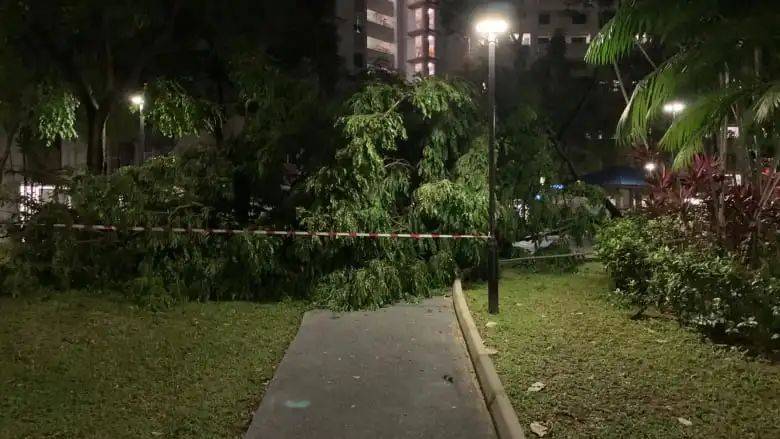 前晚,新加坡电闪雷鸣!美丽也很危险