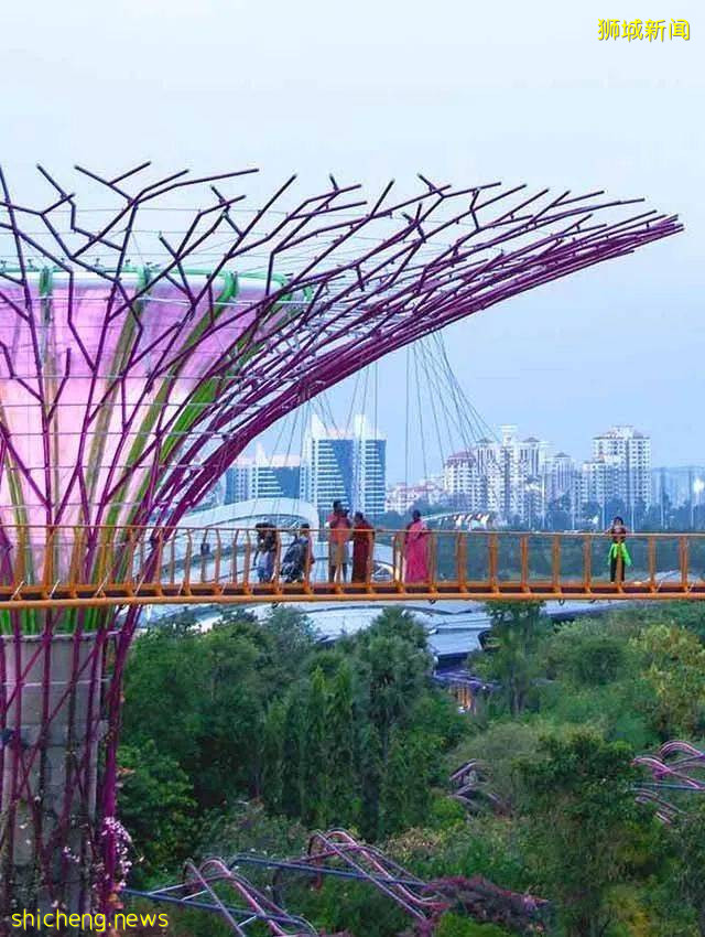 新加坡解封後,10個兩人同行必打卡的有情調好地方