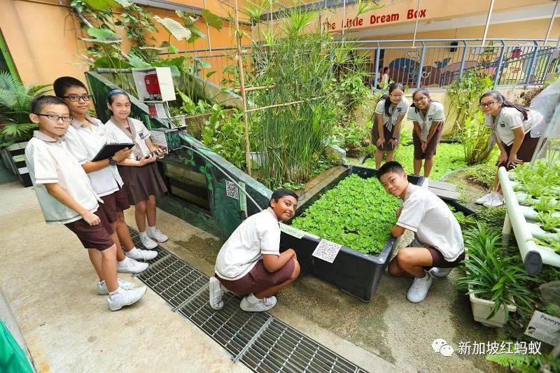 新加坡要全面推行绿色发展和环保是好事，但人民准备好了吗