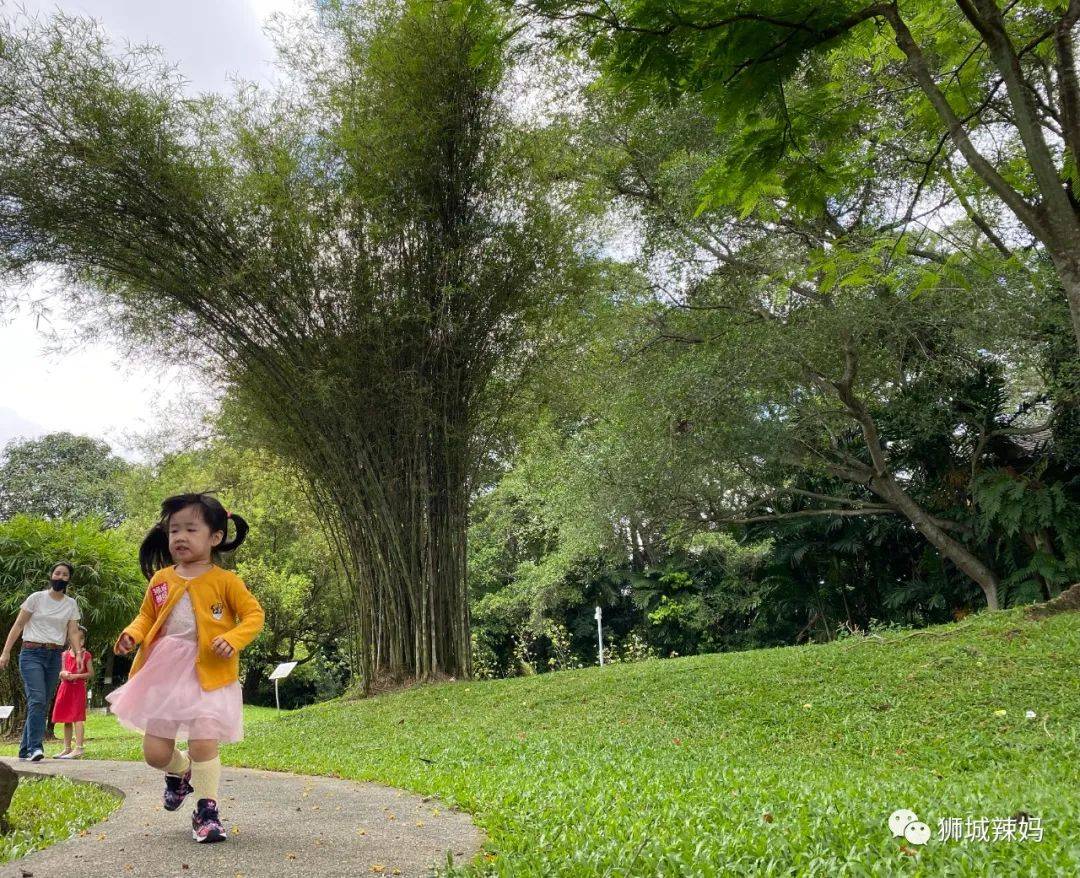 送門票!新加坡科學中心【4月地球日】瘋送禮物,全家嗨翻天