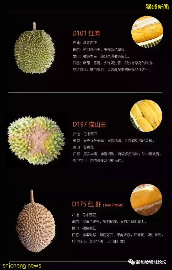 新加坡吃貨有口福啦！馬來西亞榴梿大豐收預計價格將全線下降
