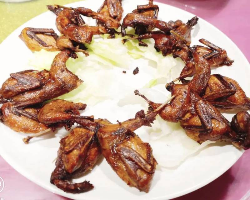 【食尚獅城】在江蘇酒家體驗國菜的魅力