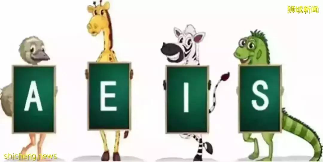 2022年S AEIS考試成績已公布,未上榜的學生應該這樣做