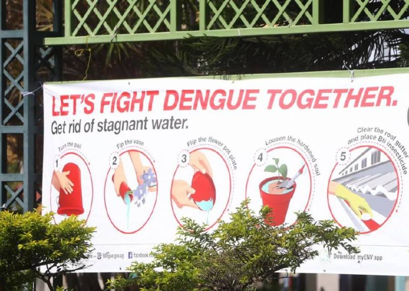 新加坡今年骨痛热已有28例死亡!和新冠一样多!症状更可怕