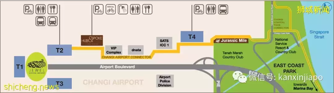 解锁樟宜机场的隐藏玩法,新加坡新晋打卡点