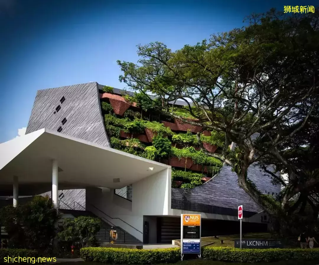 新加坡李光前自然曆史博物館 / Tierra Design (S) Pte Ltd