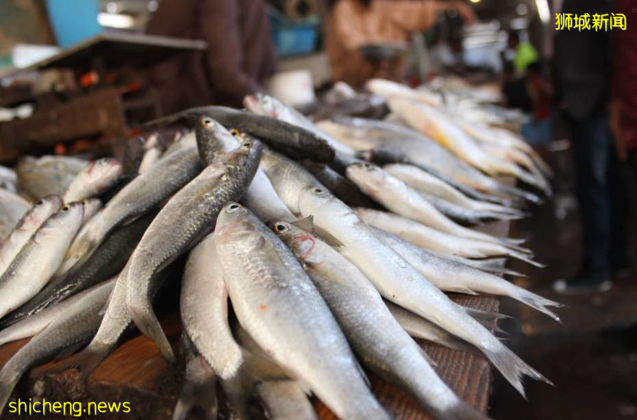 史上最高！新加坡至少5學校爆疫，教育部緊急收緊措施！5名學生病危？澄清了