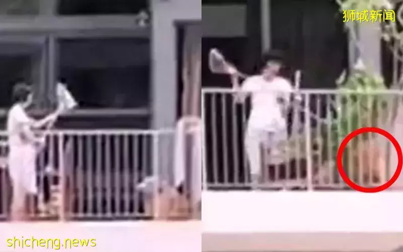 锁阳台扫把猛戳 女子涉虐狗被拍
