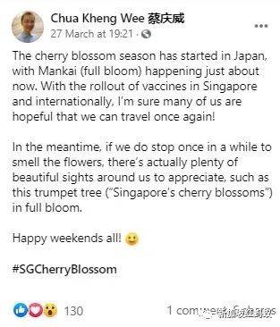 新加坡也有“櫻花”？看看當地領導們如何當起賞花向導