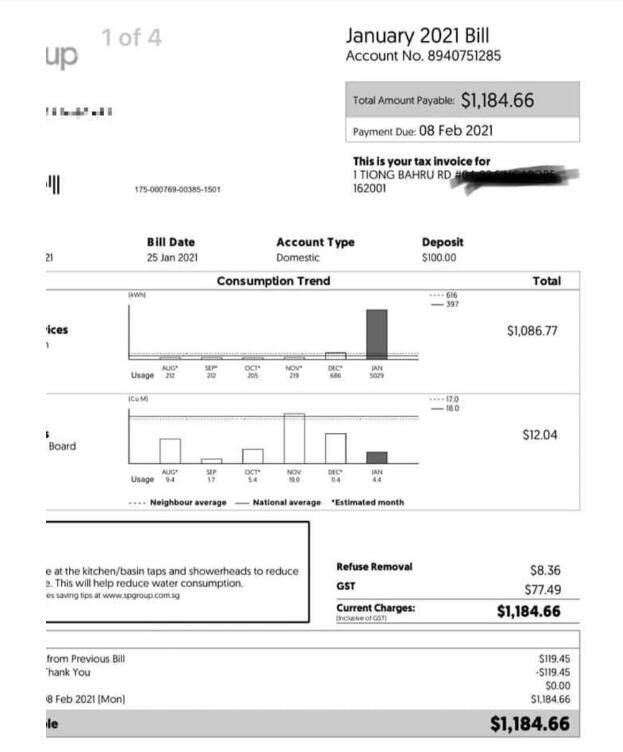新加坡水電費賬單國內意外走紅！被網友調侃“太老土了”