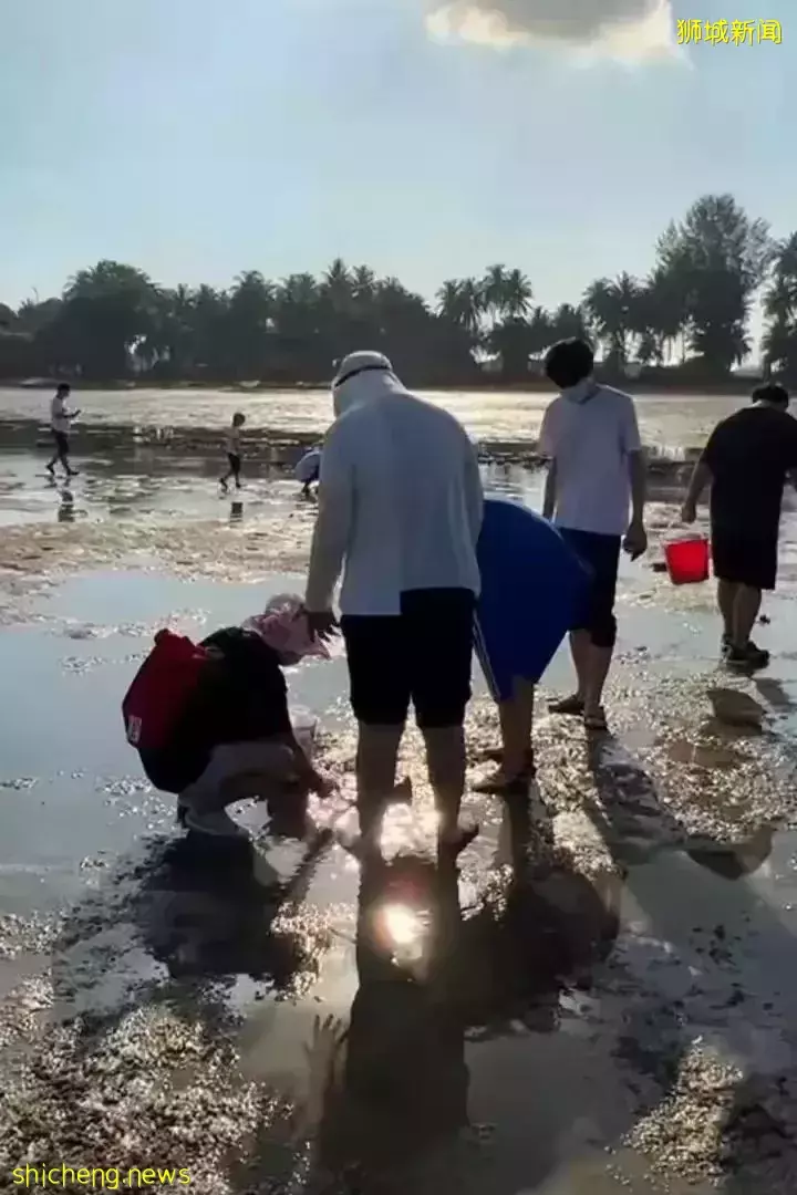 周末时光—魔鬼岛赶海